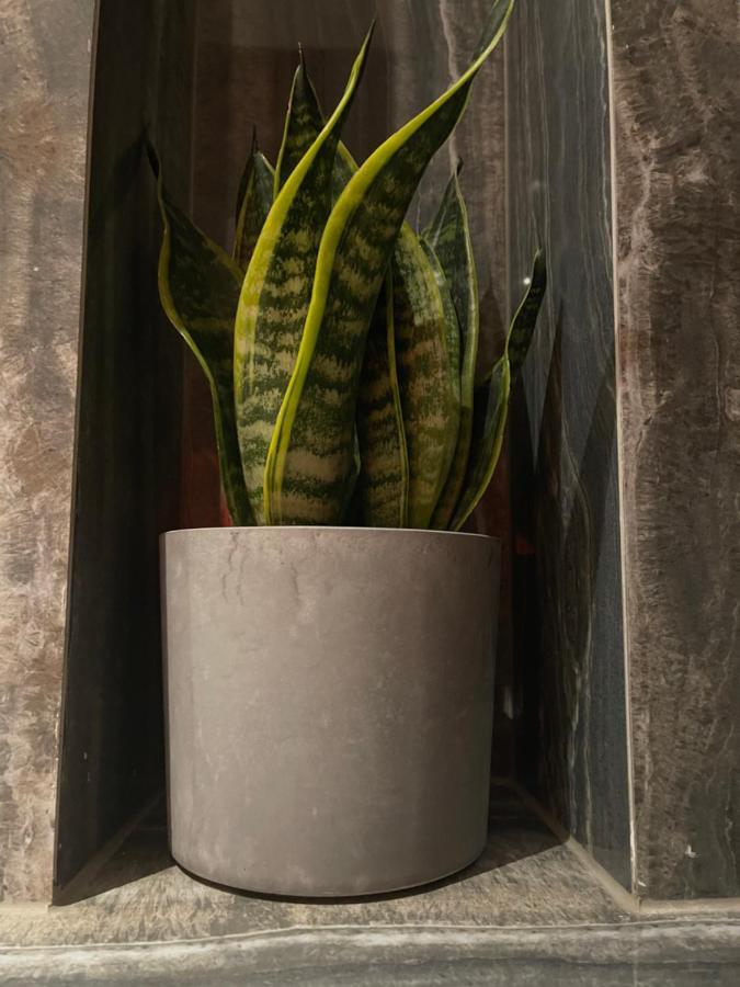 Mangio Silver Appartement Dubrovnik